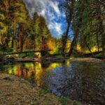 Adana Fizik Online Yüzyüze Birebir Özel Ders